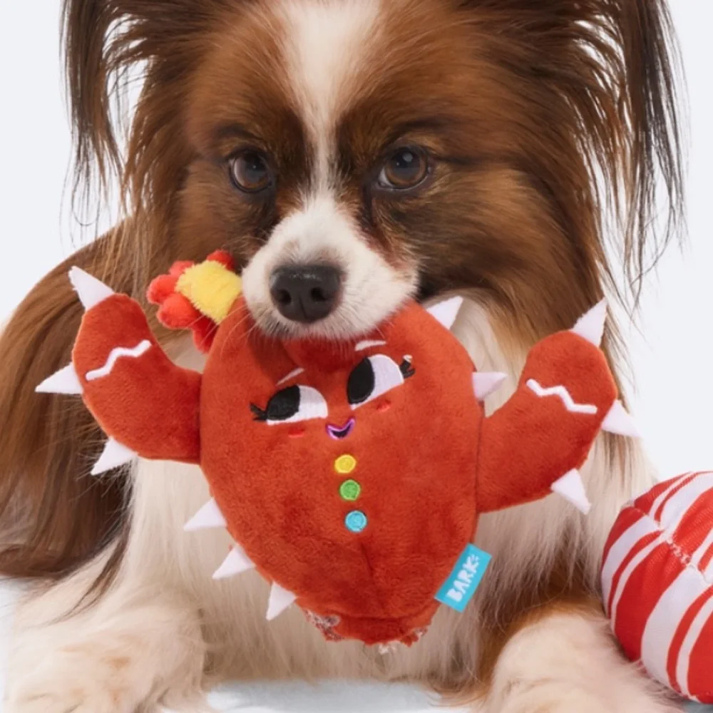 Bark box super chewer M-L Dog Toy Consuela the cookie cactus rip & reveal NEW